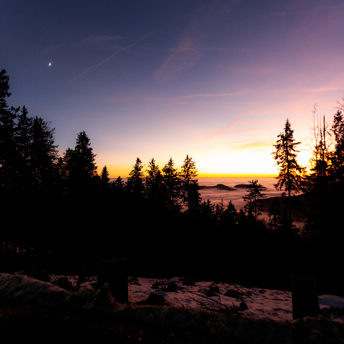 G-Klasse Offroad-Reise in Deutschland buchen. Grenzen austesten: High-End Offroad-Abenteuer G-Klasse in Bayerns Urwald. Schreiben Sie Ihre eigene Geschichte im Matsch des Bayerischen Walds.