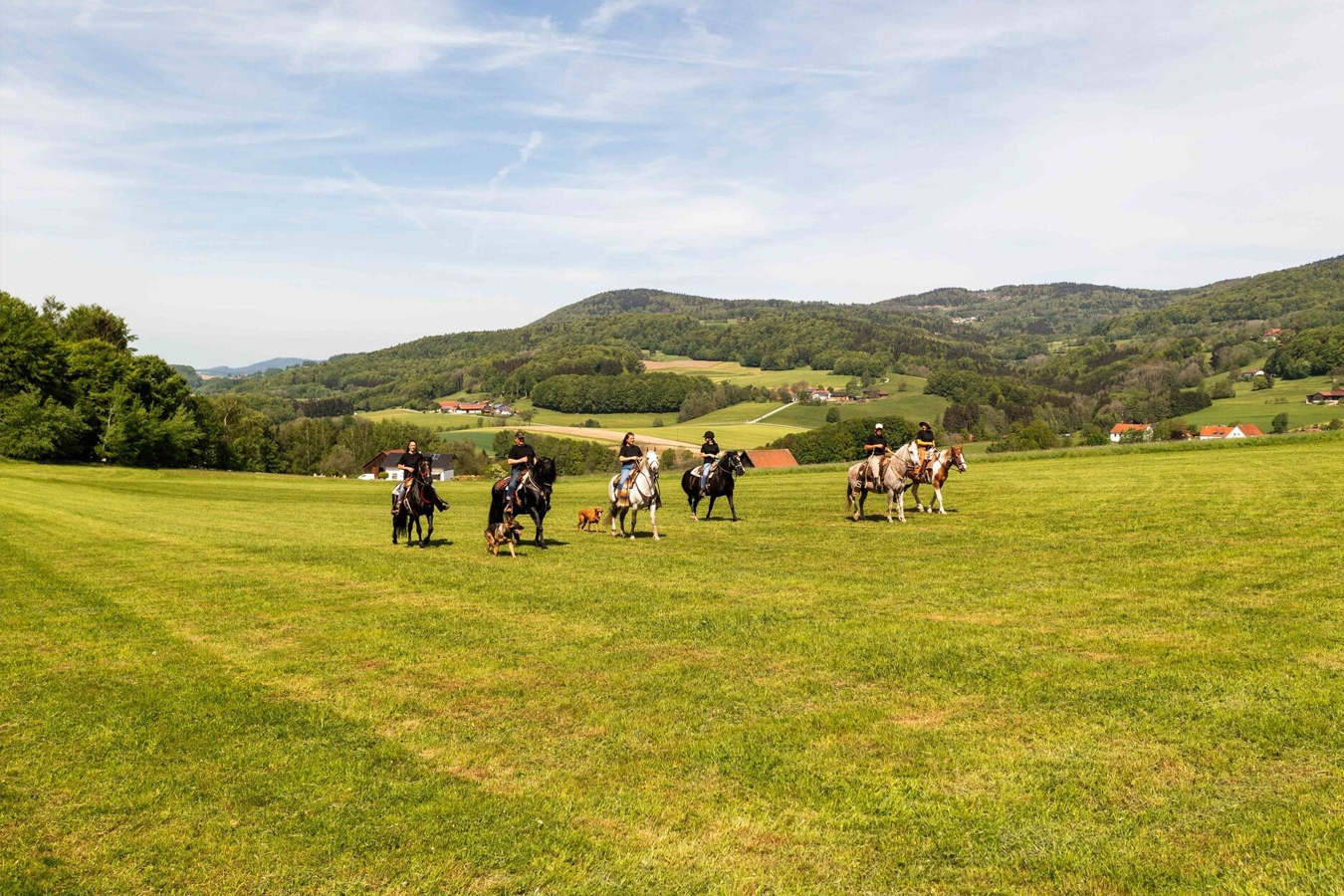 zertifizierte Wanderreitstationen Bayern. Wanderreiten Bayerischer Wald: Jetzt Stationen finden & Abenteuer starten!