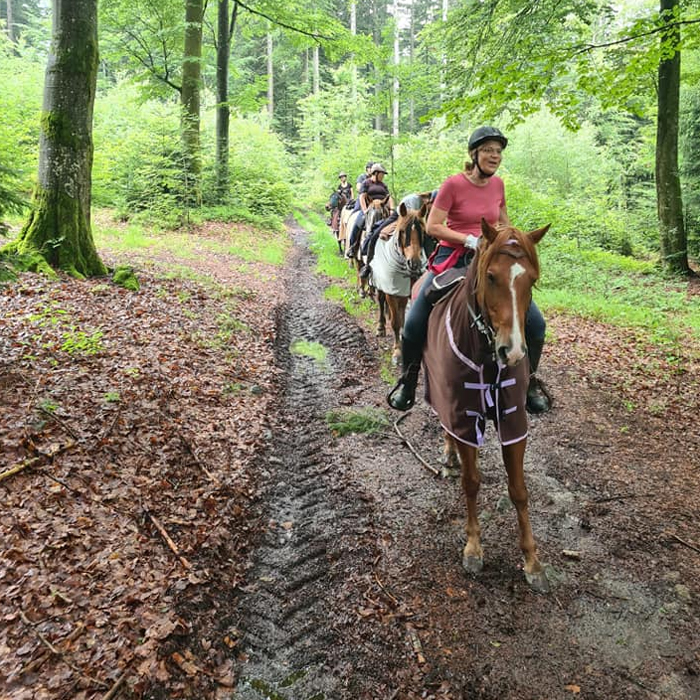 Wanderreitstationen Bayerischer Wald. Vom Fichtenwald bis zum Fluss: Jede Etappe ein neues Erlebnis beim Wanderreiten.