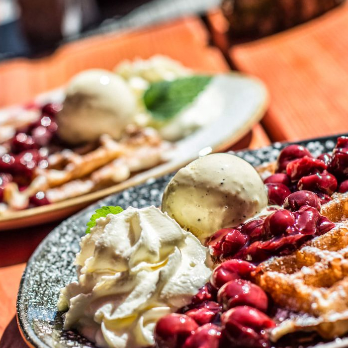 Wanderreiten mit eigenem Pferd Bayerischer Wald. Hoch zum Nationalpark, runter zur Donau: Deine Reitroute durch den Bayerischen Wald wartet.