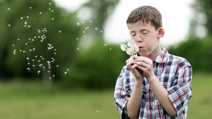 Konsistenz, Bestand, Zusammenhalt, Geschlossenheit, In-sich-Ruhen, Beschaffenheit, Psychologie, Widerspruchsfreiheit, Bezug, Selbst, zeitlich, Situation, Wesentlich, Verhaltenstendenz, beständig, Persönlichkeitsmerkmal, trait, transsituativ, aggregiert, vergleichbar, situationsspezifisch, unterschiedlich, Aspekt, Auswirkung, Farbschema, Bereich, Bedeutung, Einheitlichkeit, Verwendung, Assoziation, Einstieg, Grundlage, Disziplin, Fleisch, Blut, freiberuflich, Freelancer, sicher, Plattform, Verkauf, Funktion, Eindruck, Tab, Kompromiss, Web-Usability, Content, durchgängig, Schreibstil, Leser, Mode, Neuerung, verändert, Vorliebe, Webdesign-Profi, vielseitig, Designarbeit, Kundschaft, typisch, Konzepterstellung, Ästhetik., Styleguide, Gestaltungsrichtlinie, Druckerzeugnis, Webpräsenz, Richtlinie, Kommunikationsmittel, Firma, Brandbook, Leitfaden, Markenidentität, Video, Banner, Bibliothek, Iconfont, nützlich, Piktogramm, Coding, JavaScript, Joomla, User Experience, UX, User Interface, UI, User-Centered Design
