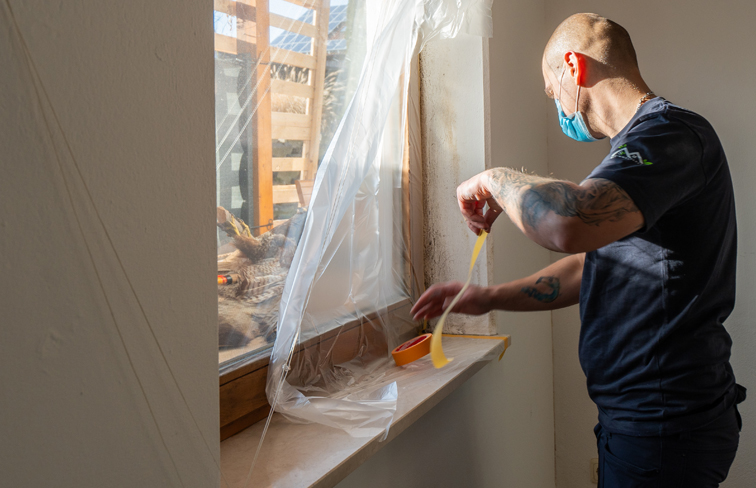 Hilfe bei Schimmelbefall gesucht? Wir von Straubing Schimmel helfen deutschlandweit bei der Sanierung im Wohnraum. Fachgerecht & nachhaltig seit Jahren.